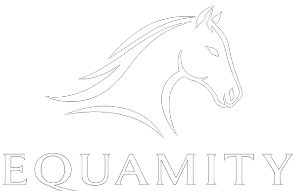 Equamity